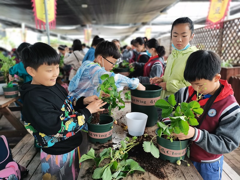 C:\Users\pc\Desktop\2021.5.20社会实践\五六年级\蒋梦淑2021.5.21五六年级社会实践（马星星提供）\10.png